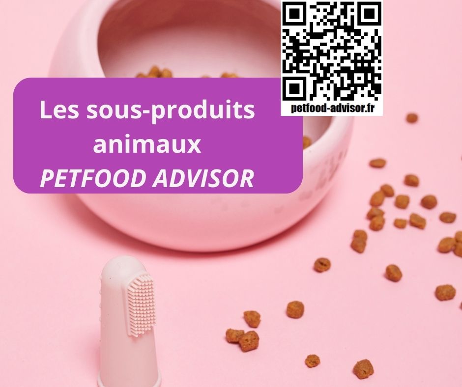 les sous-produits animaux