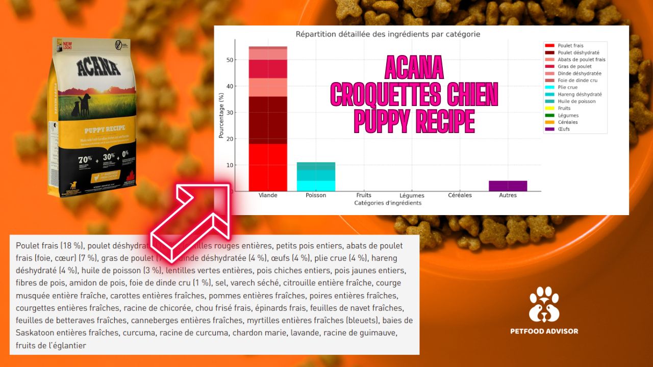 L'intelligence artificielle au service du Petfood