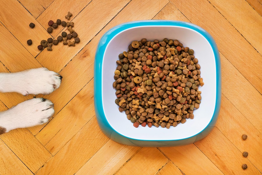 Nourriture pour chien