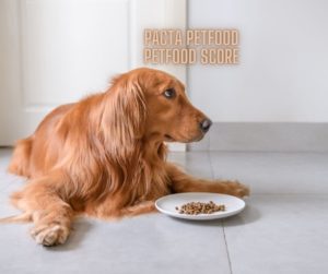 Les attaques contre le Petfood Score Pacta